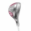 Cobra BiO Cell Silver Hybrid -Golf Putters Shop bio cell silver 4176 2 1