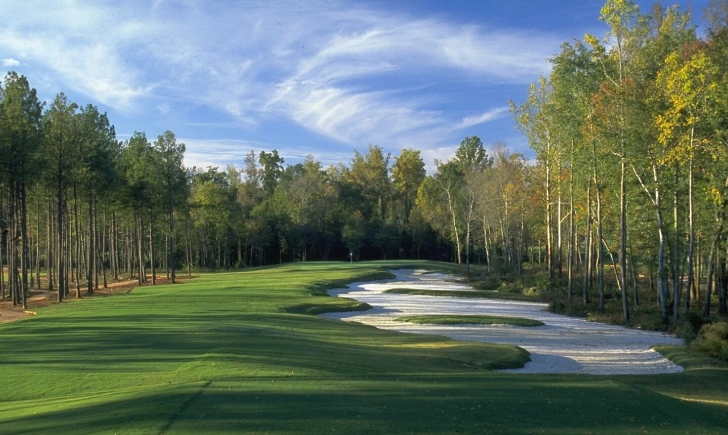 Golf Putters Shop -Golf Putters Shop 2